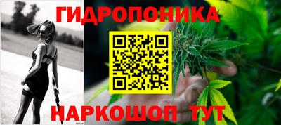ECSTASY Конаково